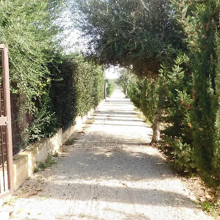 Apartment Alimede *