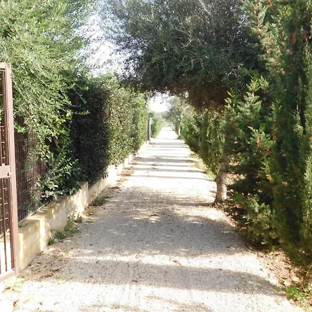 Alimede